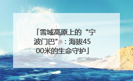 雪域高原上的“宁波门巴”：海拔4500米的生命守护