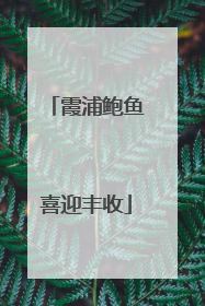 霞浦鲍鱼喜迎丰收
