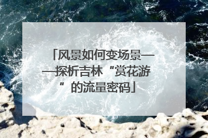 风景如何变场景——探析吉林“赏花游”的流量密码