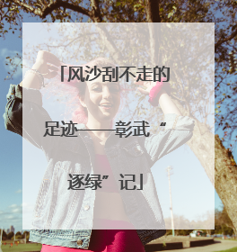 风沙刮不走的足迹——彰武“逐绿”记