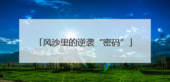 风沙里的逆袭“密码”