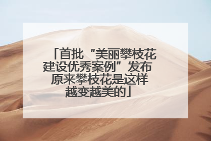 首批“美丽攀枝花建设优秀案例”发布 原来攀枝花是这样越变越美的
