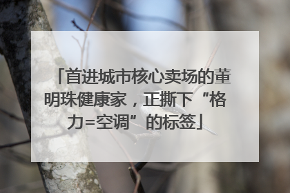 首进城市核心卖场的董明珠健康家，正撕下“格力=空调”的标签