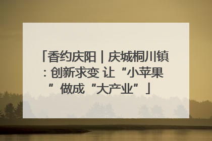 香约庆阳｜庆城桐川镇：创新求变 让“小苹果”做成“大产业”