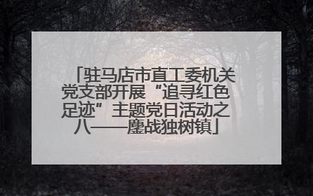 驻马店市直工委机关党支部开展“追寻红色足迹”主题党日活动之八——鏖战独树镇