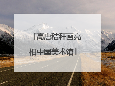 高唐秸秆画亮相中国美术馆