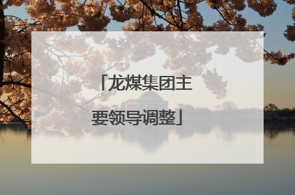 龙煤集团主要领导调整