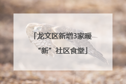 龙文区新增3家暖“新”社区食堂