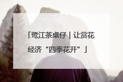 鹭江茶桌仔｜让赏花经济“四季花开”