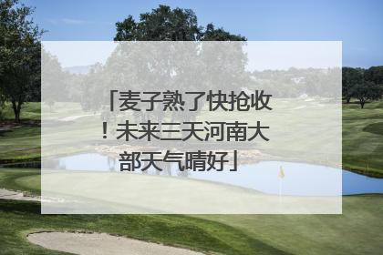 麦子熟了快抢收！未来三天河南大部天气晴好