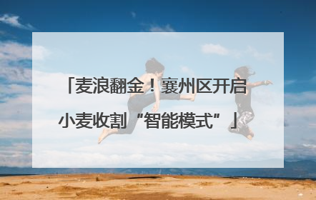 麦浪翻金！襄州区开启小麦收割“智能模式”