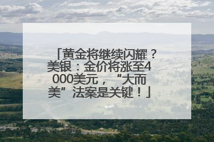 黄金将继续闪耀？美银：金价将涨至4000美元，“大而美”法案是关键！