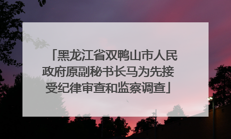 黑龙江省双鸭山市人民政府原副秘书长马为先接受纪律审查和监察调查