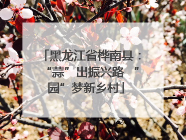 黑龙江省桦南县：“蒜”出振兴路 “园”梦新乡村
