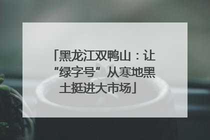 黑龙江双鸭山：让“绿字号”从寒地黑土挺进大市场