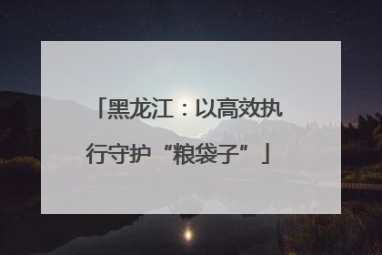 黑龙江：以高效执行守护“粮袋子”