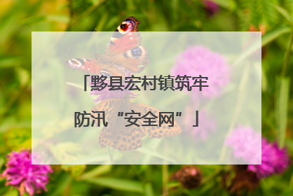 黟县宏村镇筑牢防汛“安全网”