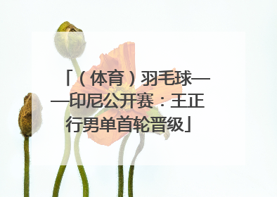 （体育）羽毛球——印尼公开赛：王正行男单首轮晋级