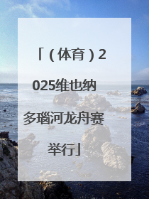 （体育）2025维也纳多瑙河龙舟赛举行