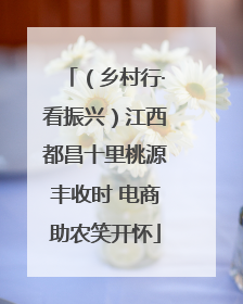 （乡村行·看振兴）江西都昌十里桃源丰收时 电商助农笑开怀