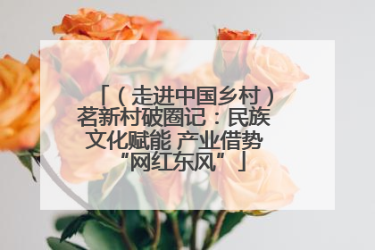 （走进中国乡村）茗新村破圈记：民族文化赋能 产业借势 “网红东风”