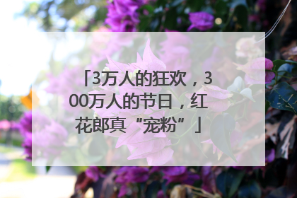 3万人的狂欢，300万人的节日，红花郎真“宠粉”