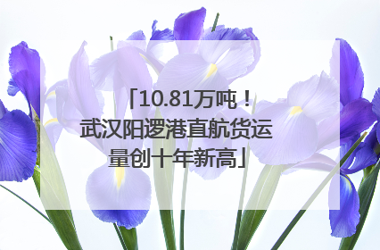 10.81万吨！武汉阳逻港直航货运量创十年新高