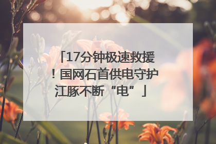 17分钟极速救援！国网石首供电守护江豚不断“电”