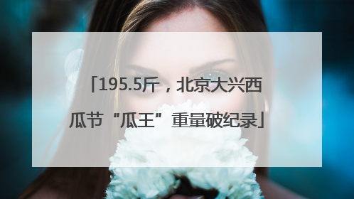 195.5斤，北京大兴西瓜节“瓜王”重量破纪录