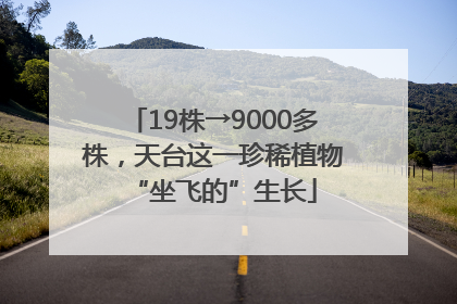 19株→9000多株，天台这一珍稀植物“坐飞的”生长