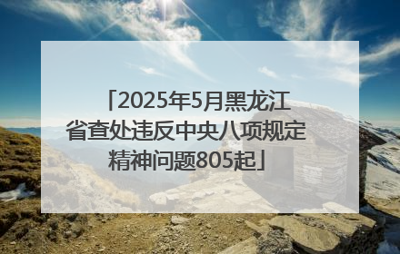 2025年5月黑龙江省查处违反中央八项规定精神问题805起