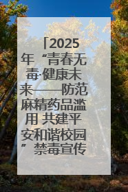 2025年“青春无毒·健康未来——防范麻精药品滥用 共建平安和谐校园”禁毒宣传专题活动在咸宁举行