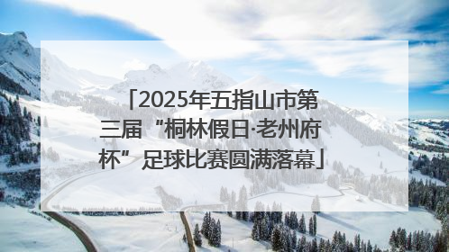 2025年五指山市第三届“桐林假日·老州府杯”足球比赛圆满落幕