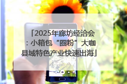 2025年廊坊经洽会：小箱包“圈粉”大咖 县域特色产业快速出海