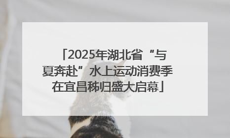 2025年湖北省“与夏奔赴”水上运动消费季在宜昌秭归盛大启幕