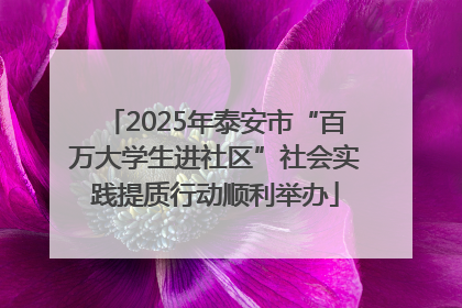 2025年泰安市“百万大学生进社区”社会实践提质行动顺利举办