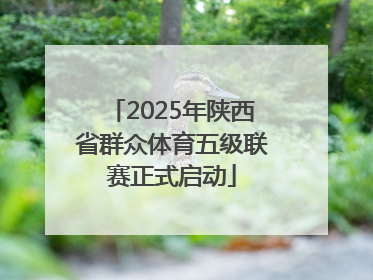 2025年陕西省群众体育五级联赛正式启动