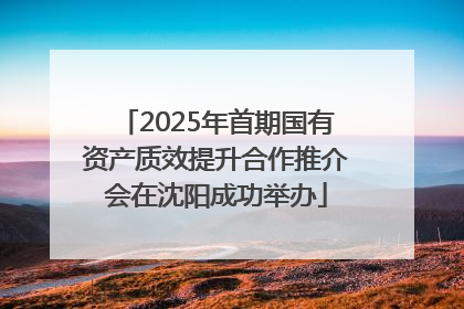 2025年首期国有资产质效提升合作推介会在沈阳成功举办