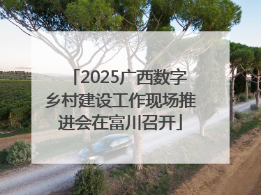 2025广西数字乡村建设工作现场推进会在富川召开