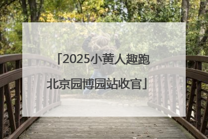 2025小黄人趣跑北京园博园站收官