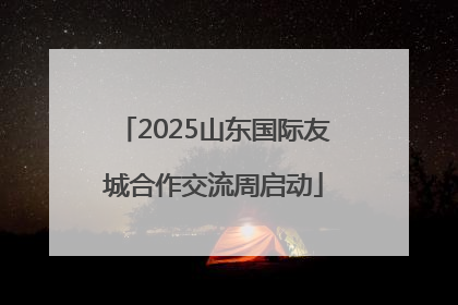 2025山东国际友城合作交流周启动