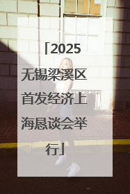 2025无锡梁溪区首发经济上海恳谈会举行