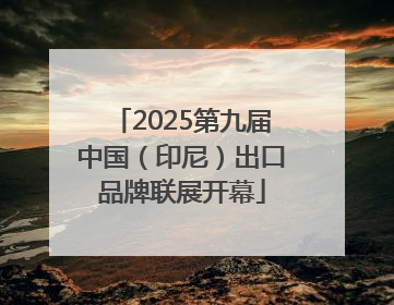 2025第九届中国（印尼）出口品牌联展开幕
