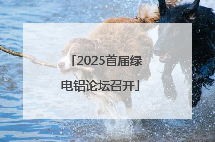 2025首届绿电铝论坛召开