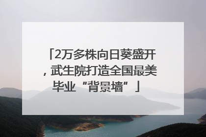 2万多株向日葵盛开，武生院打造全国最美毕业“背景墙”
