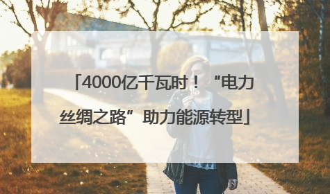 4000亿千瓦时！“电力丝绸之路”助力能源转型