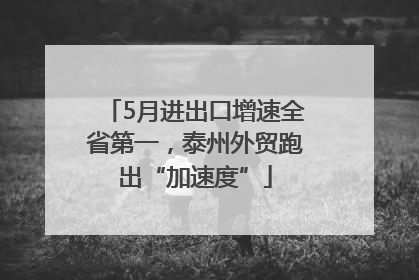 5月进出口增速全省第一，泰州外贸跑出“加速度”
