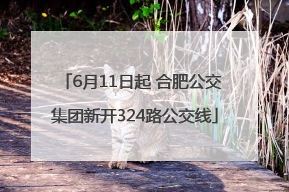 6月11日起 合肥公交集团新开324路公交线