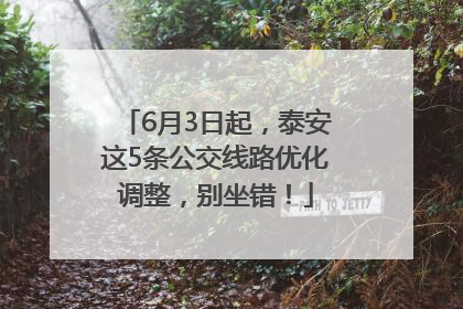 6月3日起，泰安这5条公交线路优化调整，别坐错！