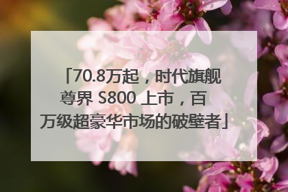 70.8万起，时代旗舰尊界 S800 上市，百万级超豪华市场的破壁者